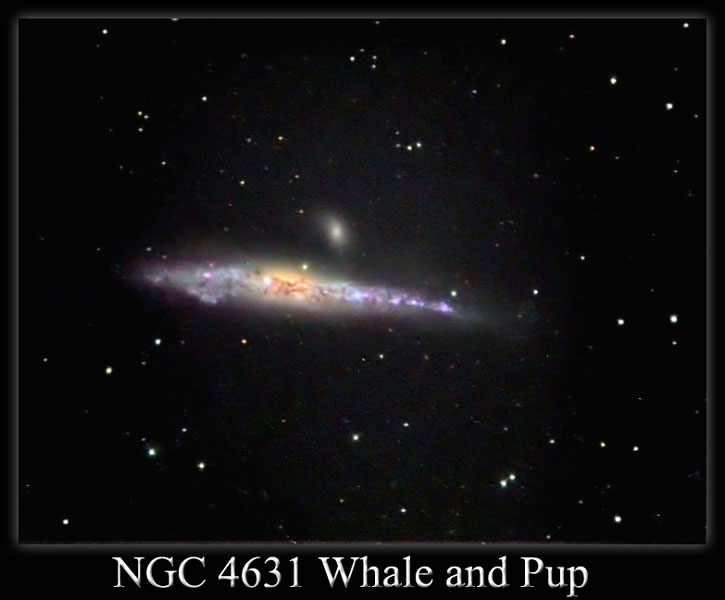 NGC4631 Марка Сибола